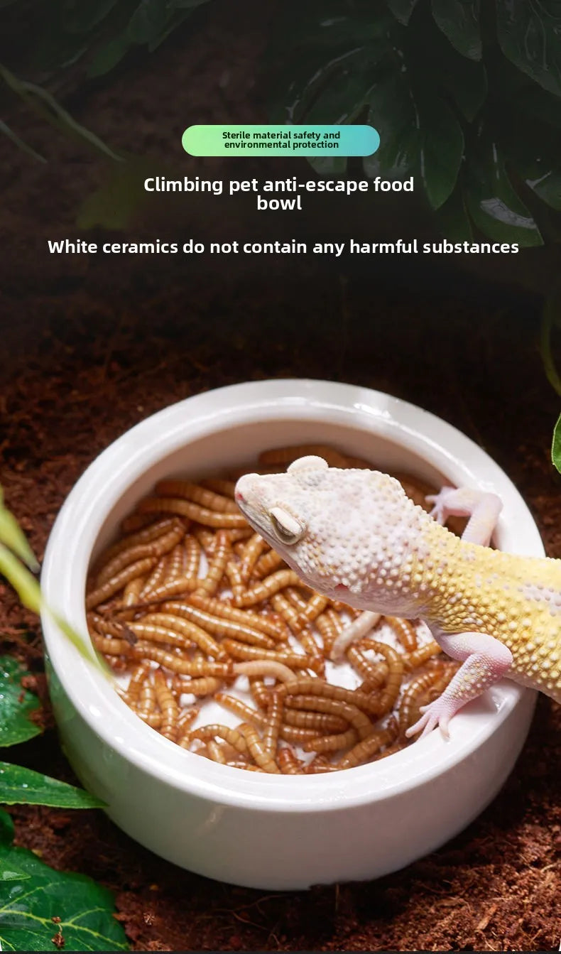 Reptile Water Food Bowl Anti-Escape Ceramic Feeder Dish for Lizard