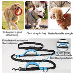 Adjustable Hands-Free Bungee Dog Leash
