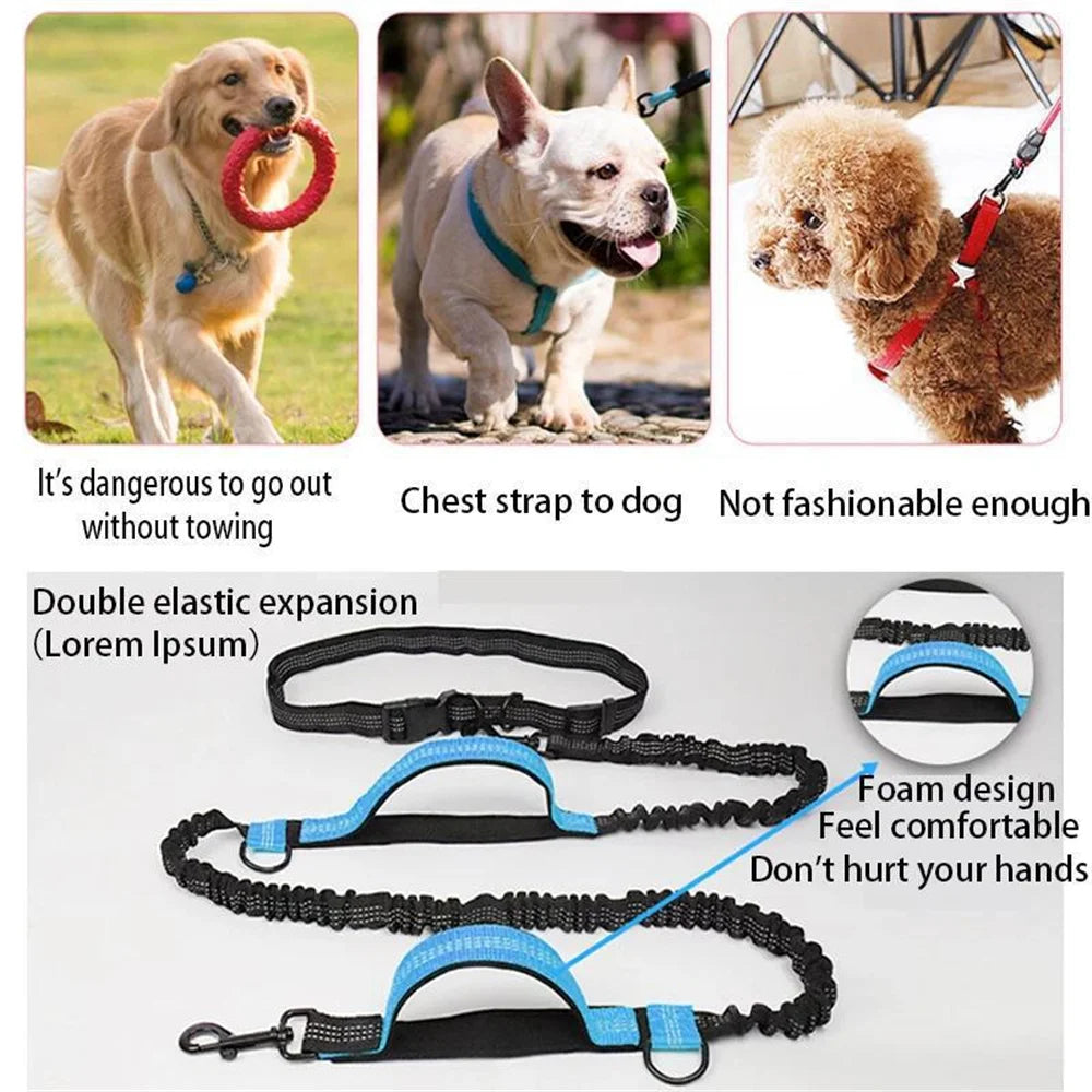 Adjustable Hands-Free Bungee Dog Leash