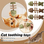 Funny Fish Bone Cat Toys Cat Teeth Cleaning Toy with Catnip &