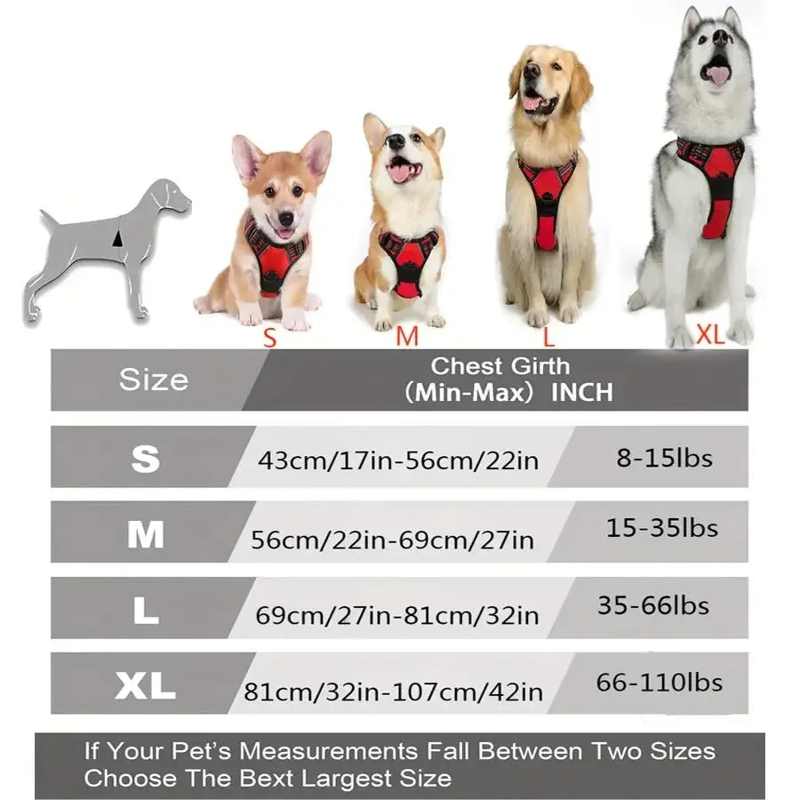 Dog Collars Harness Big Vests Leash Pet Shop Everything For Dogs