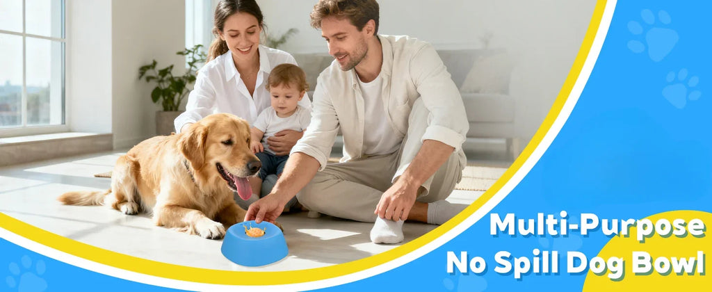 Anti-Choking Slow Feeder Dog Bowl Non-Slip 3/4 Cup - Lick Toy for