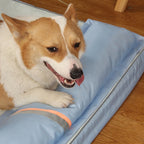 Summer Cooling Dog Bed for Large Medium Dog PUppy Orthopedic