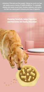 Dog Bowls Slow Feeder 1.5 Cups Slow Feeding Small Medium Breed