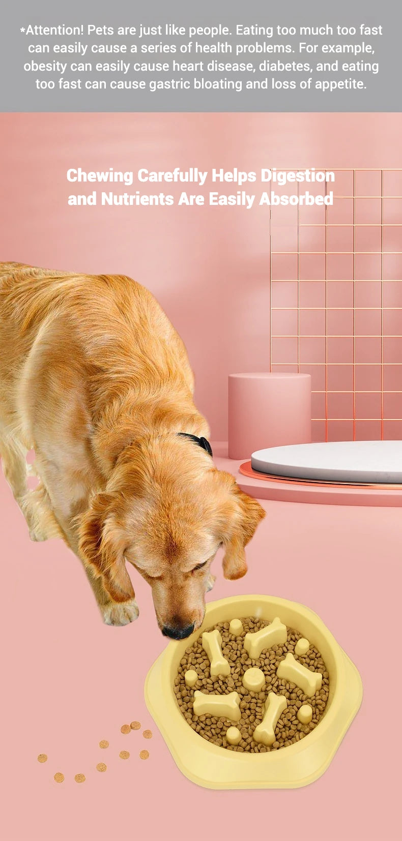Dog Bowls Slow Feeder 1.5 Cups Slow Feeding Small Medium Breed