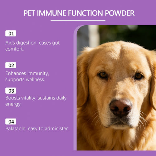 Canine Digestive Health Powder