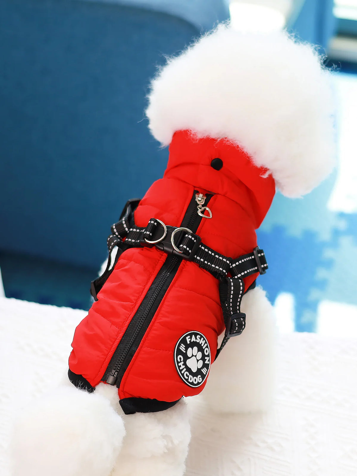 Comes with a Traction Ring, Pet Coat, Jacket, Three-Layer Thick