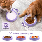 Pet Dog Slow Feeder Bowl Fun Non Slip Anti-Gulping Slower Food