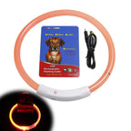 Luminous Pet Dog Collar Waterproof LED Dog Collar Rechargeable