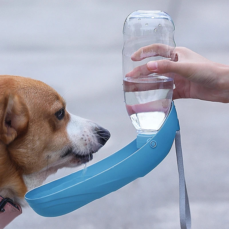 Portable Dog Water Bottle For Small Large Dogs Foldable