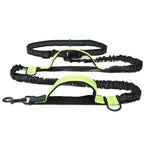 Adjustable Hands-Free Bungee Dog Leash