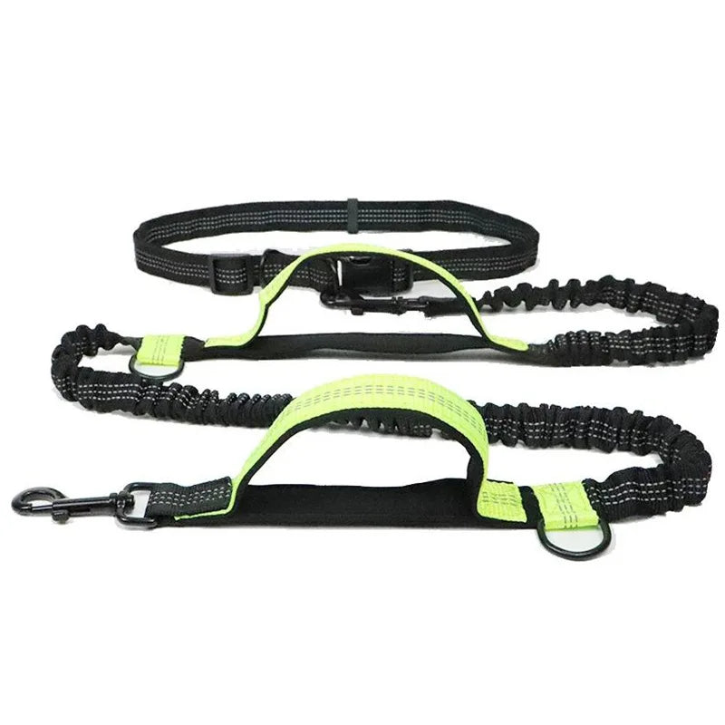 Adjustable Hands-Free Bungee Dog Leash