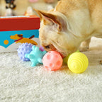 Diameter Pet Dog Ball Toys with Squeak for Small Dogs French
