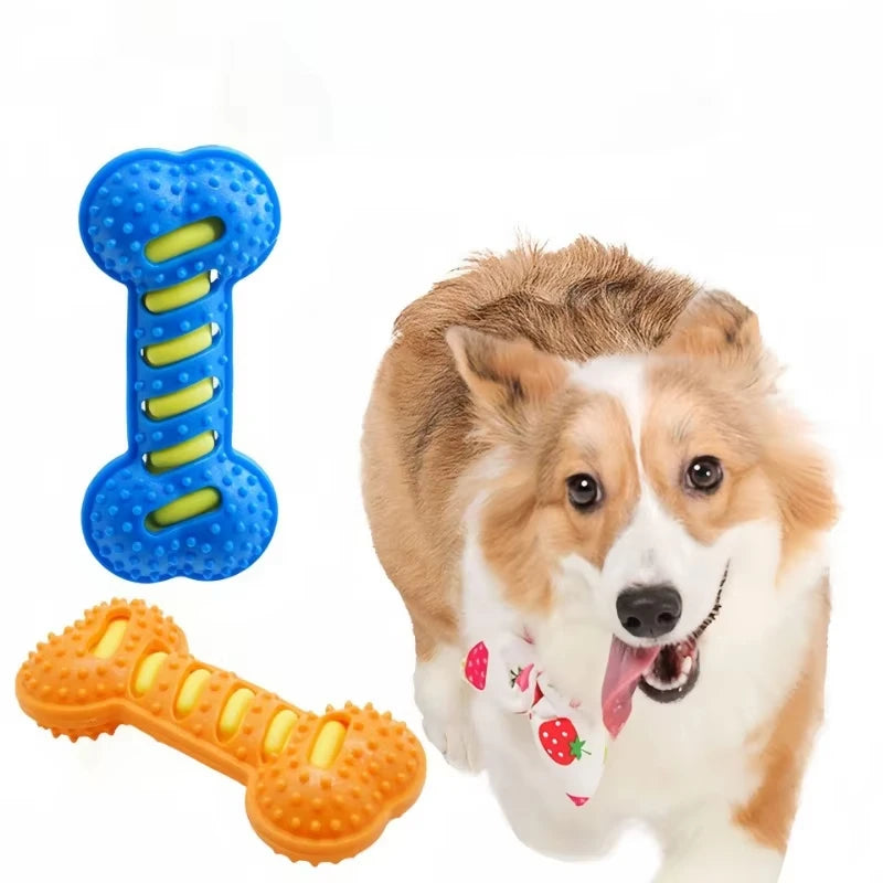 Rubber Dog Chew Toy with Squeaker