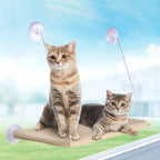 20Kg Capacity Cat Hammock with Rock Climbing Frame Comfortable