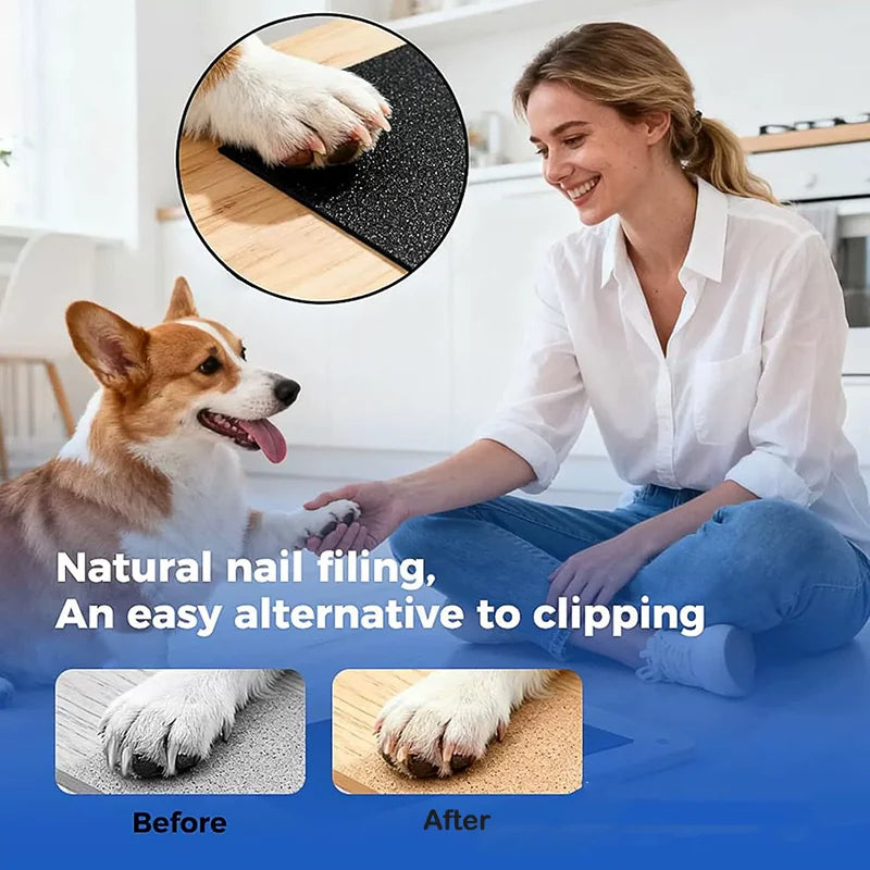 Wooden Dog Cat Nail Scratch Board with Built in Treat Box PUll Out