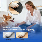 Wooden Dog Cat Nail Scratch Board with Built in Treat Box PUll Out