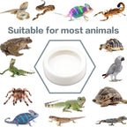 Reptile Water Food Bowl Anti-Escape Ceramic Feeder Dish for Lizard