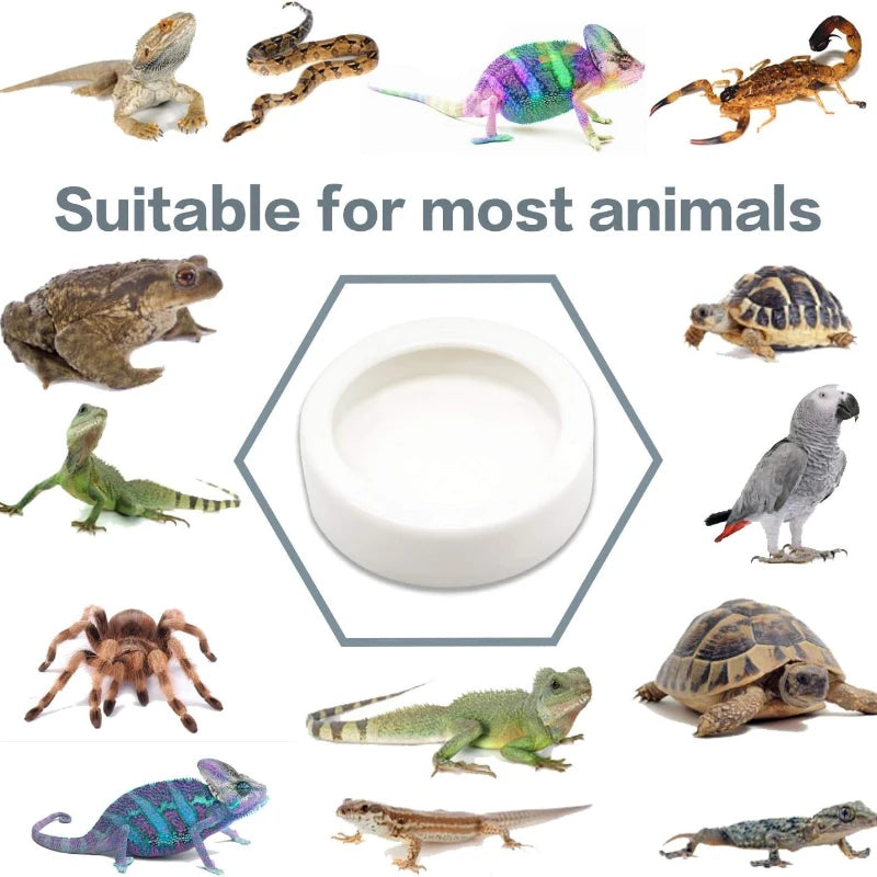 Reptile Water Food Bowl Anti-Escape Ceramic Feeder Dish for Lizard