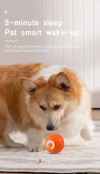 Smart Dog Toy Ball Electronic Interactive Pet Toy Moving Ball USB