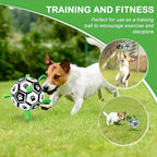 Interactive Dog Soccer Ball, Durable and Tear-Resistant Pet Soccer