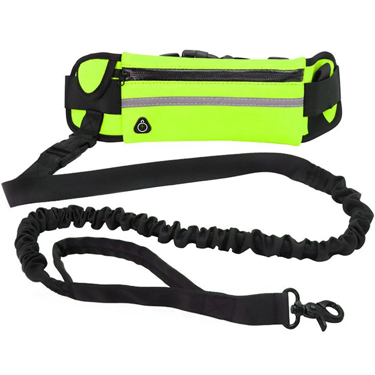 Adjustable Hands-Free Bungee Dog Leash