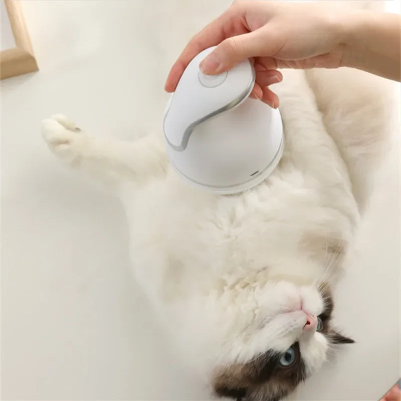 Electric Head Massager