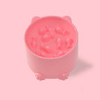 Small Cat and Dog Slow Feeding Anti-Choking Bowl with Neck