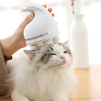 Electric Head Massager