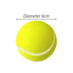 Diameter Pet Dog Ball Toys with Squeak for Small Dogs French