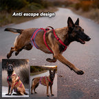 No-PUll Dog Harness for Large Dogs Outdoor Training
