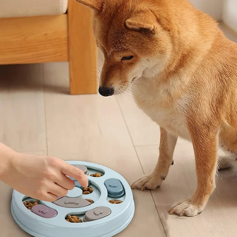 Dog Food Hiding Bowl, Slow Food Training, Dog Educational Toy to