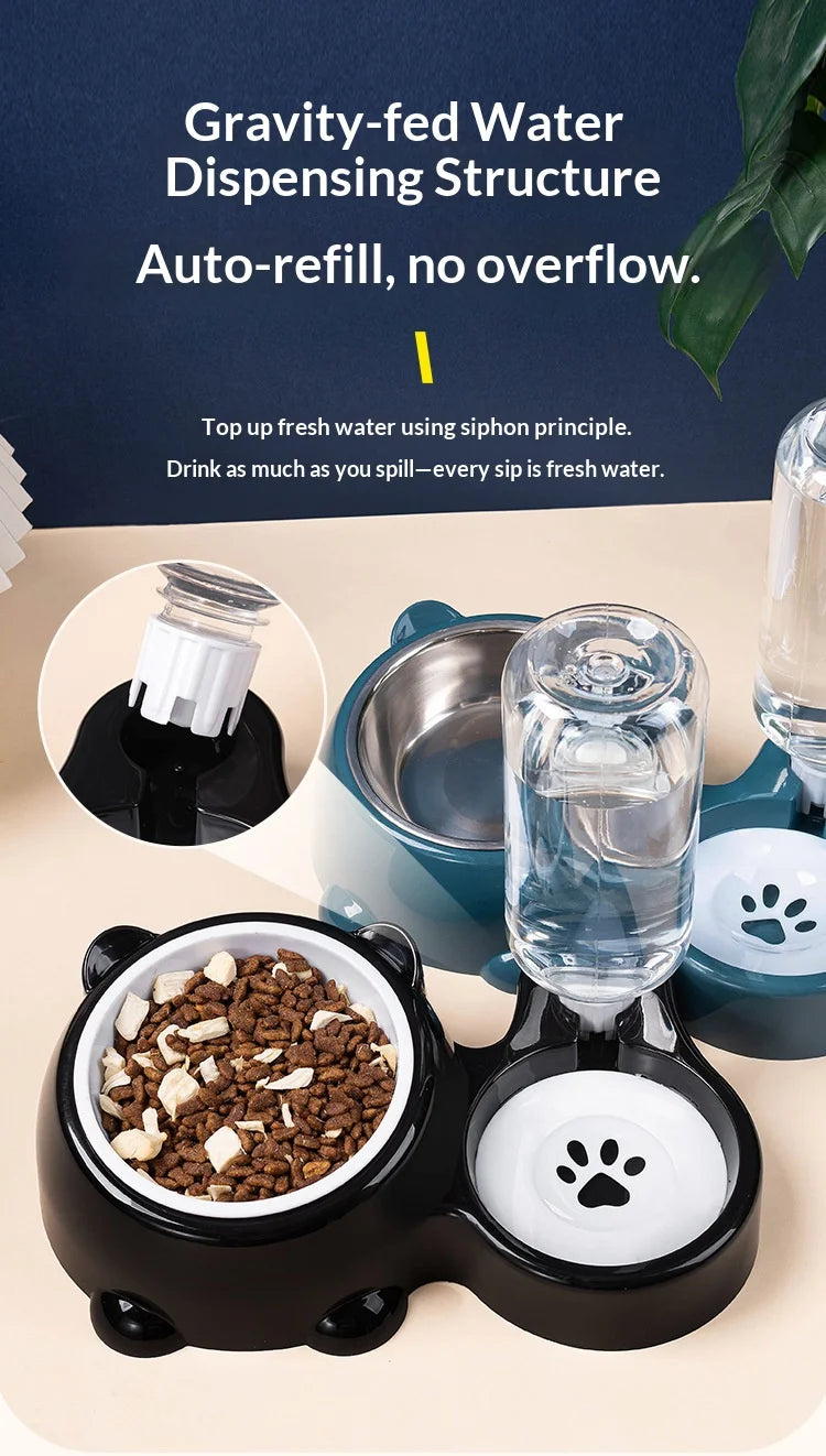 Pet Bowl 2-in-1 Auto Water Feeder, Tilted Elevated Cat Dog Bowl