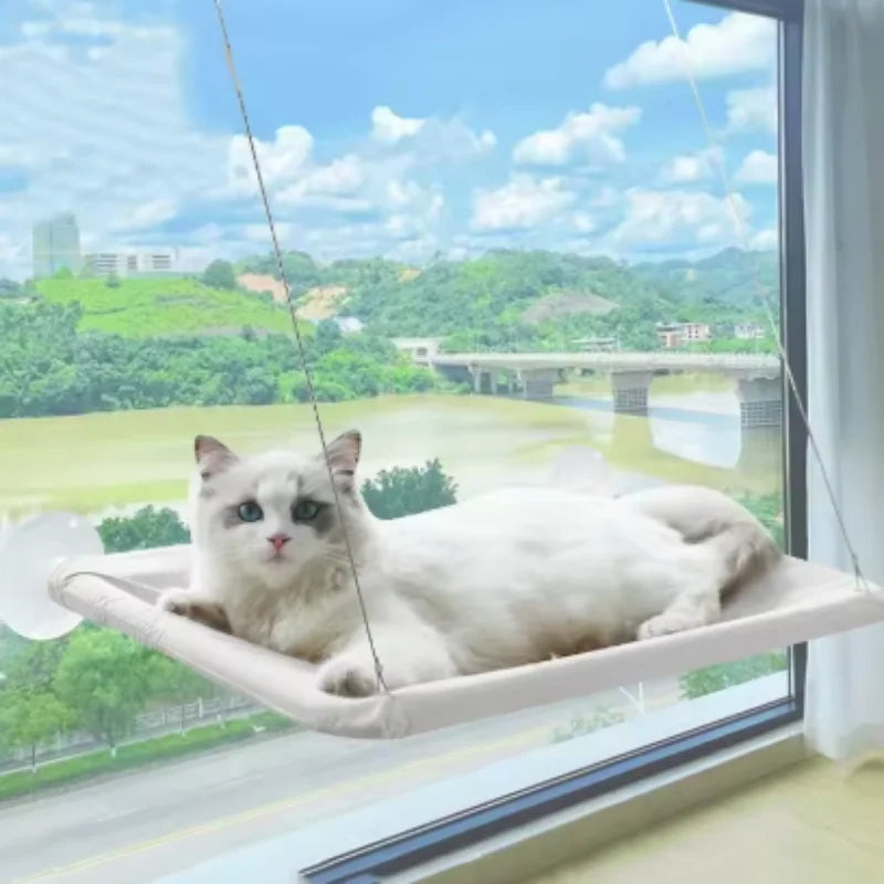 20Kg Capacity Cat Hammock with Rock Climbing Frame Comfortable