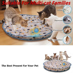 Smart Interactive Cat Toys Ball Fast Rolling in Pouch Hide and