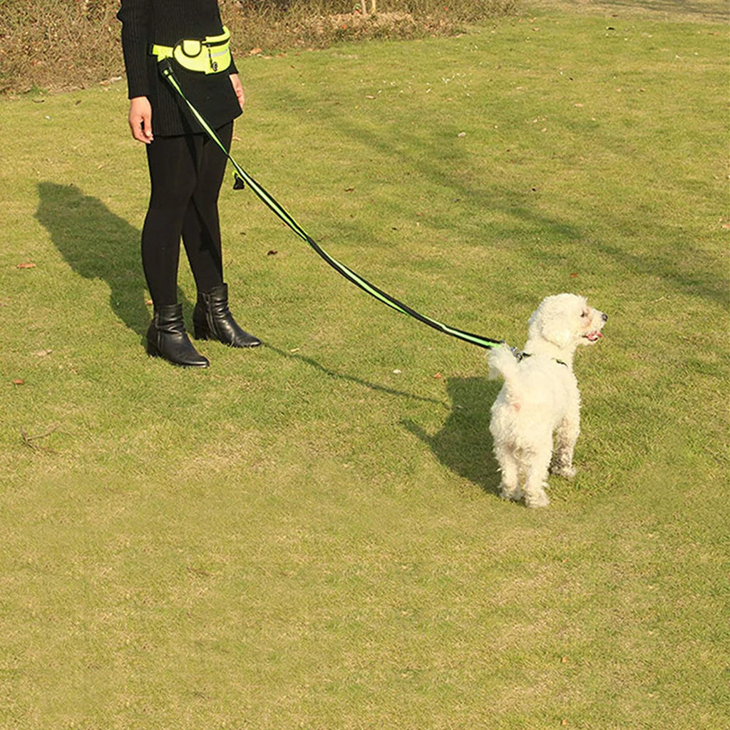 Adjustable Hands-Free Bungee Dog Leash