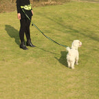 Adjustable Hands-Free Bungee Dog Leash