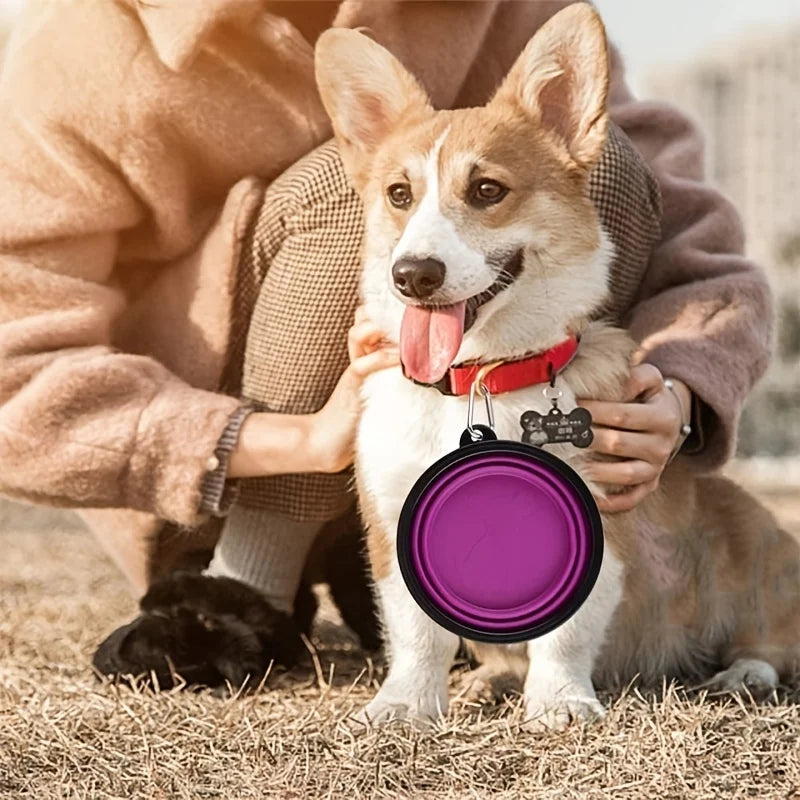Portable Collapsible Pet Bowl