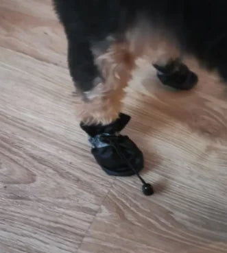 All-Weather Paw Booties