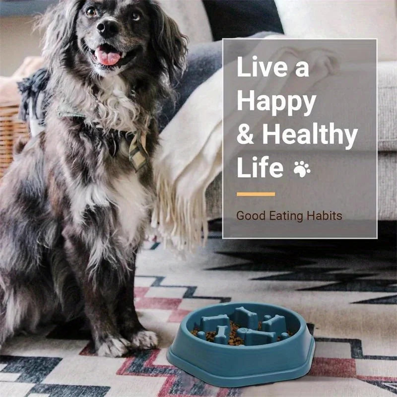 Dog Slow Feeder Bowl Anti-Choking Food Bowl for Dogs Slow Eating