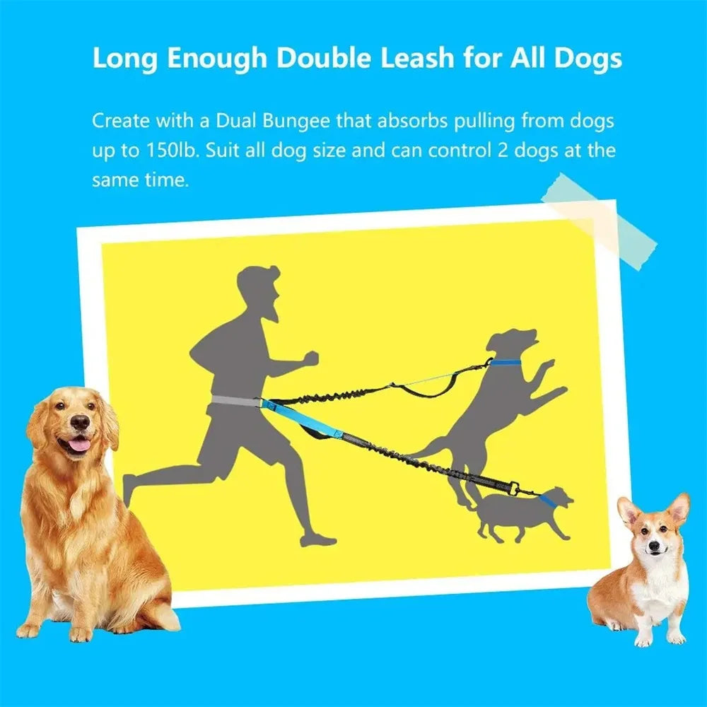 Adjustable Hands-Free Bungee Dog Leash