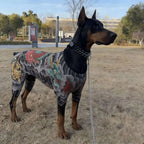 Creativity Four Seasons Dog Cat Tattooed Vest Funny Breathable Pet
