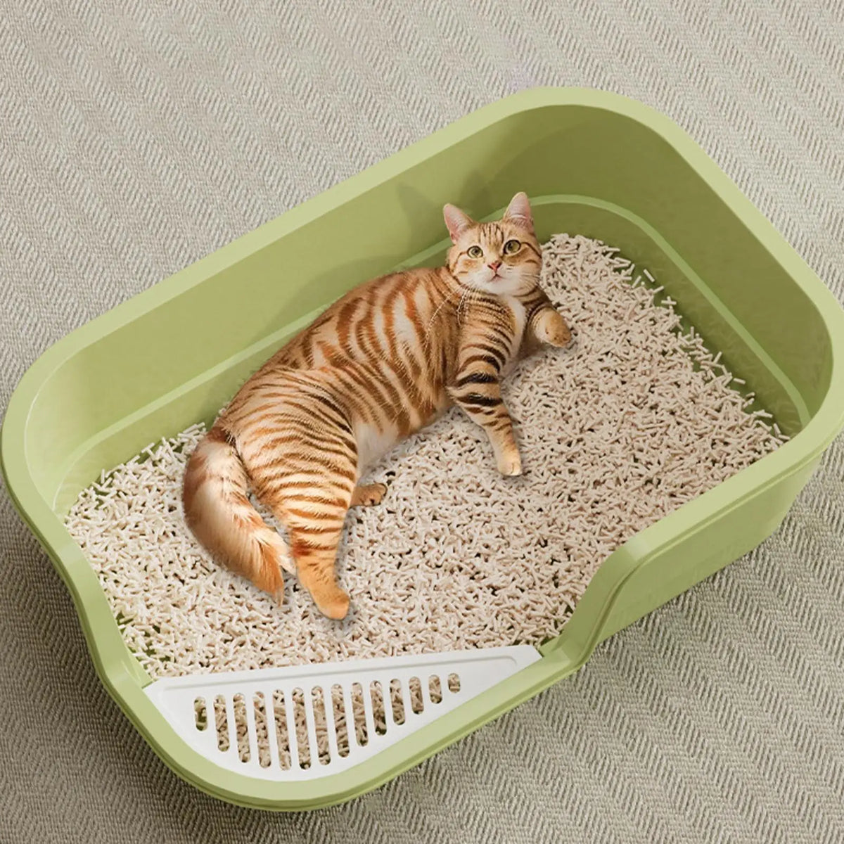 Semi Enclosed Cat Litter Box Anti Splashing Cat Toilet Sand Box