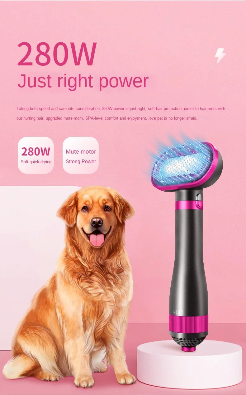 Pet Hair Dryer Dog Grooming Golden Retriever Hairdressing Dog