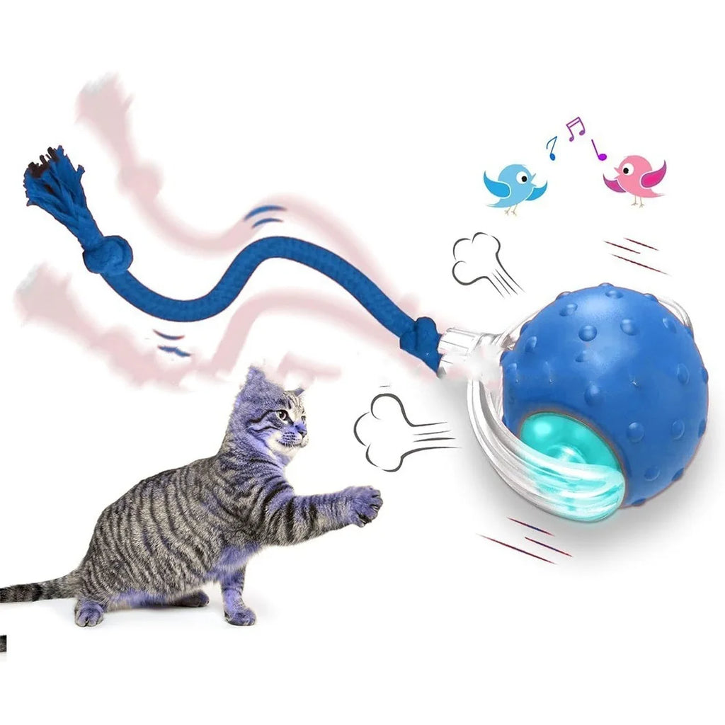 Smart Rolling Ball Cat Toy Interactive Self Play Bite Resistant