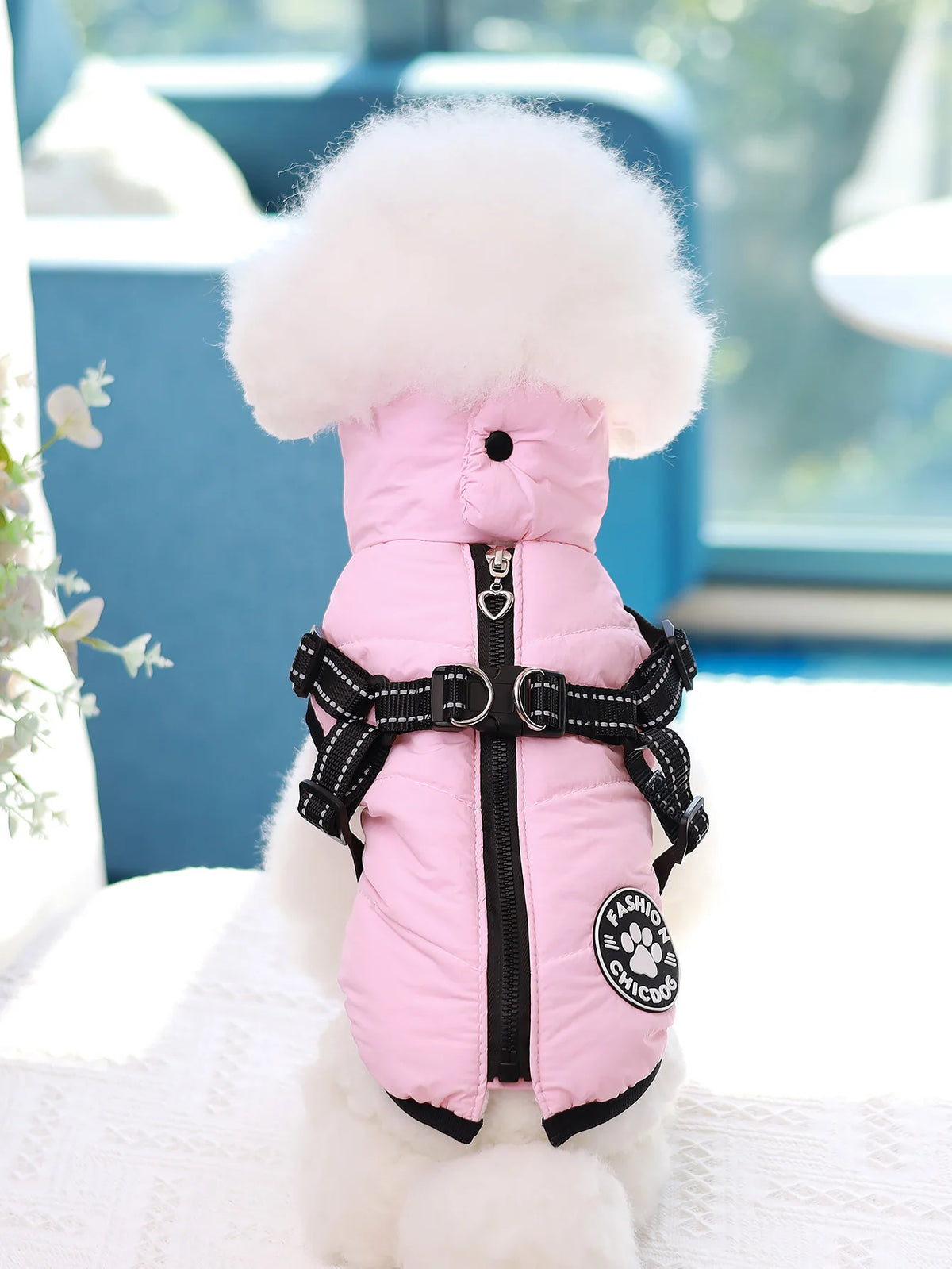Comes with a Traction Ring, Pet Coat, Jacket, Three-Layer Thick