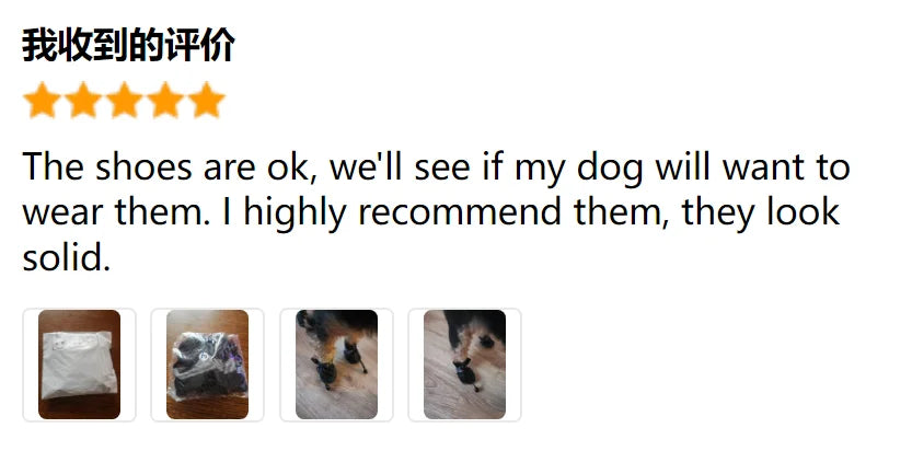 All-Weather Paw Booties