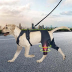 Orthopedic Brace for Dogs Pet Joint Hip Support Brace Adjustable