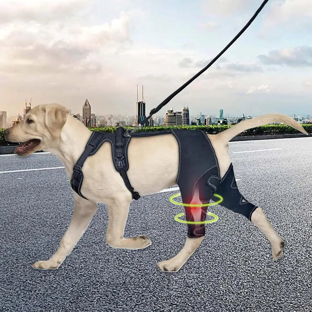 Orthopedic Brace for Dogs Pet Joint Hip Support Brace Adjustable