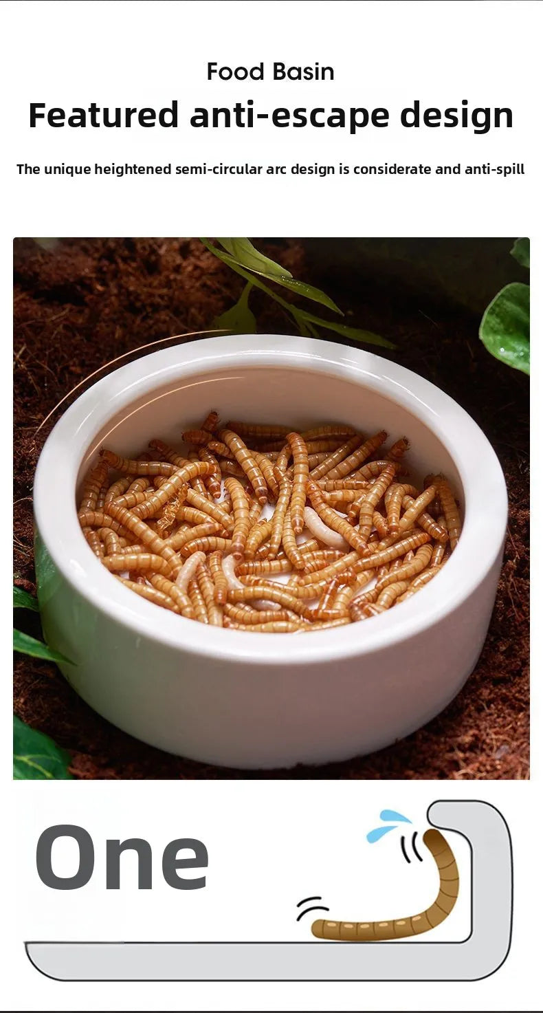 Reptile Water Food Bowl Anti-Escape Ceramic Feeder Dish for Lizard